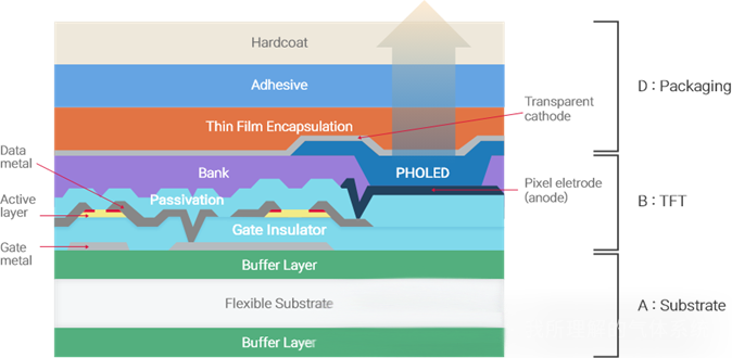 AMOLED demystificeren: innovaties in LTPO-backplanes en kleurtechnologieën