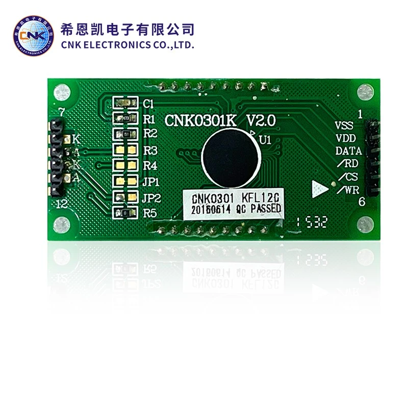 Fstn type segment LCD -display