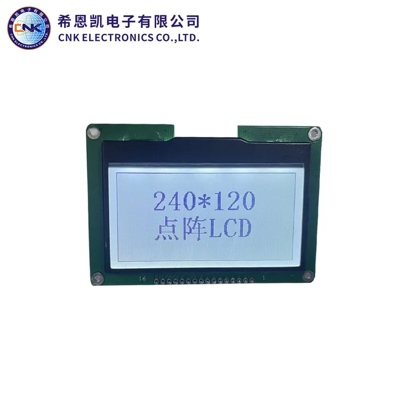 Grafisch LCD -display 240x120