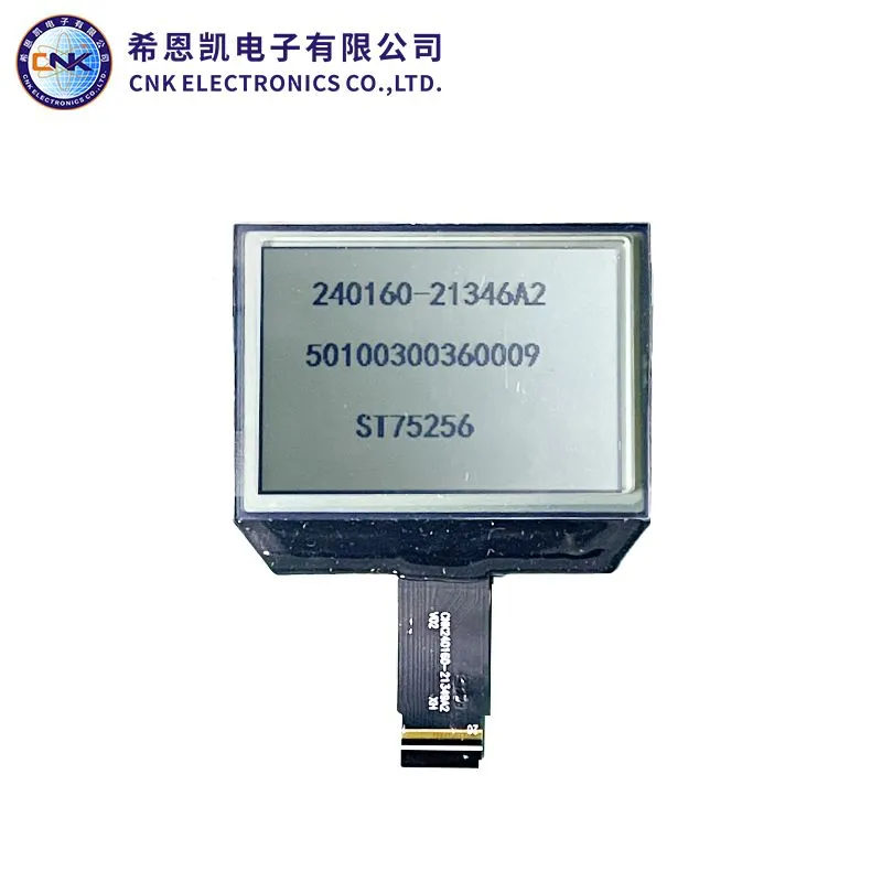 Grafisch monochrome LCD -display